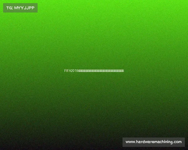 FIFA2019生涯模式世界杯征战传奇之路巅峰荣耀再现绿茵赛场辉煌征程再启